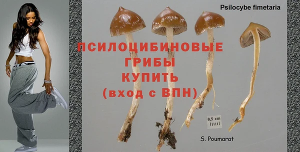 прущая мука Касимов