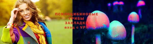 прущие грибы Карталы