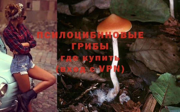 прущие грибы Карталы