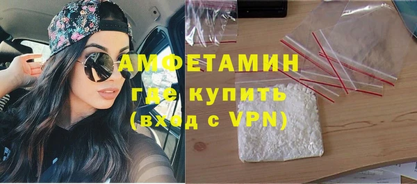 прущие грибы Карталы
