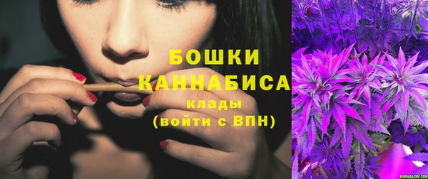 прущие грибы Карталы