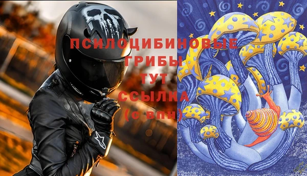 прущая мука Касимов