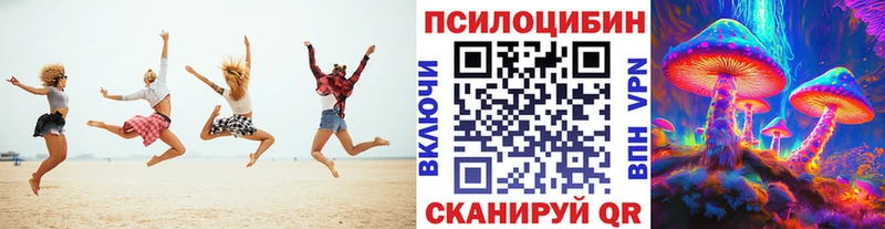 Купить закладки  Кимовск  Псилоцибиновые грибы MAGIC MUSHROOMS 